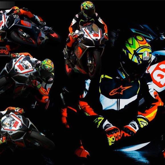 Meet your Posher, Jericho - Picture 1 of 1